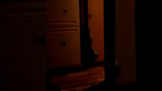 Попалась на скрытую камеру ! Миссия не выполнима смотреть онлайн