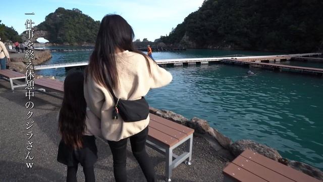【和歌山#3 車中泊】本州最南端へ行き、市場で地産地消の旅｜キャンピングカー 車中泊｜うーちゃんねる смотреть онлайн