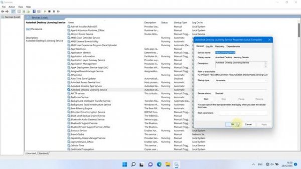 AutoCAD 2020 Error : Product License - Out of time. “License checkout timed out....” On Windows 11