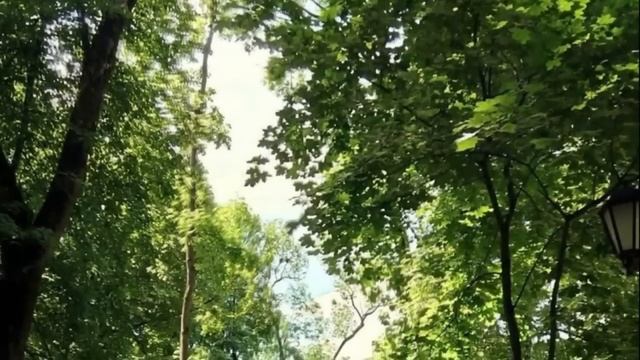 Состав клиники недоумевал, зачем хирургу оперировать бомжа, а узнав кто он… смотреть онлайн