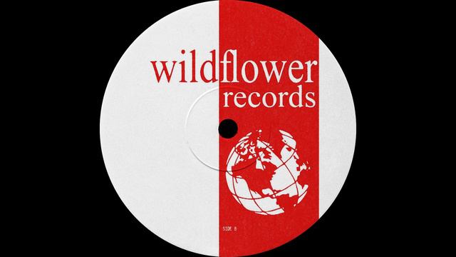 Kamasutra - Gene On Earth Remix [WFR003MX] смотреть онлайн