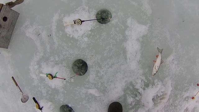 Рыбалка в глухозимье на реке Хопер смотреть онлайн