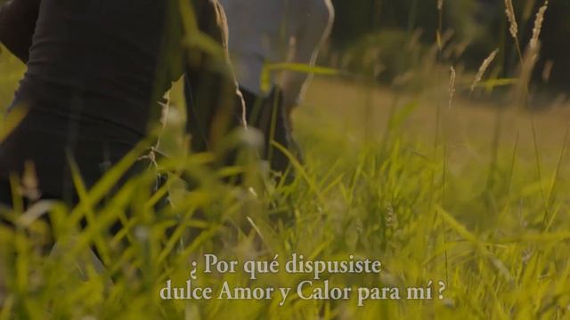 SEGADORES EN EL CAMPO - Simon Khorolskiy смотреть онлайн