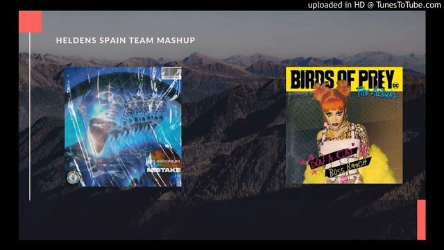 Doja Cat - Boss Bitch vs Pelargonium - Mistake (Heldens Spain Fan Mashup) смотреть онлайн