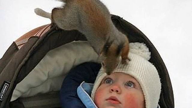 Anekdot смотреть онлайн