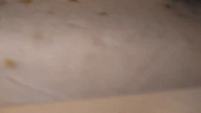 Защита ульев от птиц и мышей зимой смотреть онлайн