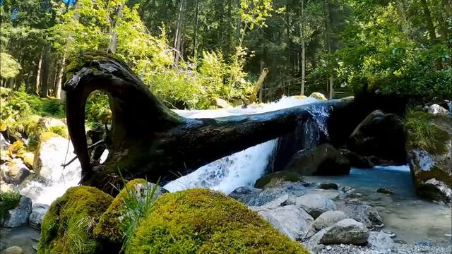 Calming Forest River with Waterfall. Relaxing Nature Sounds. (10 hours) White Noise. смотреть онлайн