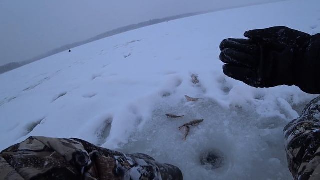 Первый лёд 2021-2022 . Рыбалка на глубоком озере. Активный клёв окуня. Зимняя рыбалка НА ЦЕПОЧКУ смотреть онлайн