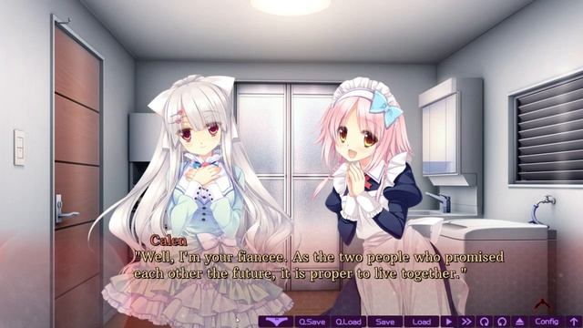 Libra Of The Vampire Princess - Prologue - Part 3 [Full Adult Playthrough] смотреть онлайн