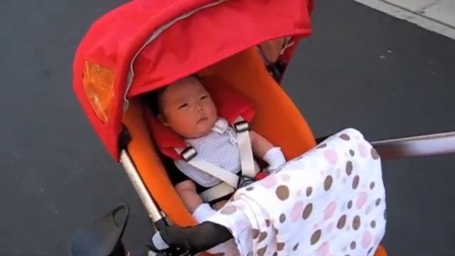 First Quinny Stroll (1 Month Old)