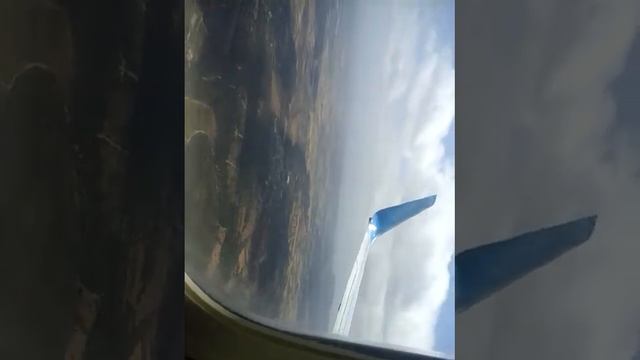 Пальма де маерка лечу смотреть онлайн