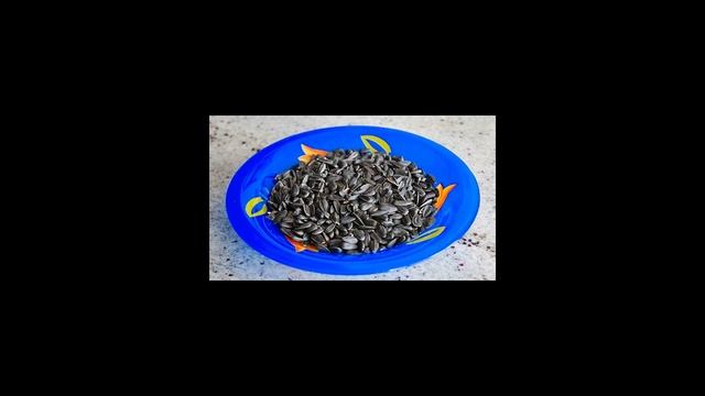 Мастерство и Смысл Жизни