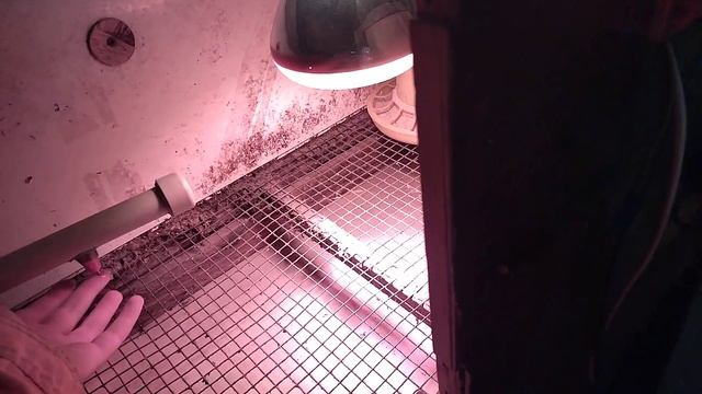 Как установить лампу в брудер смотреть онлайн