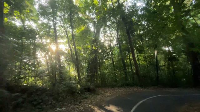 POV 4K , Beautiful road in forest. Trip in Bali смотреть онлайн