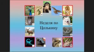 Неделя в календаре Цолькин. Урок 1