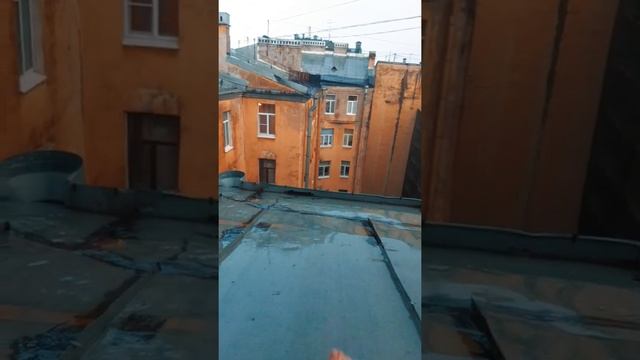 Как в Питере правильно мыть ноги ????? смотреть онлайн