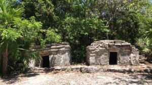Xcaret Eco Park Riviera Maya Attractions Mexico Cancun 4K UHD