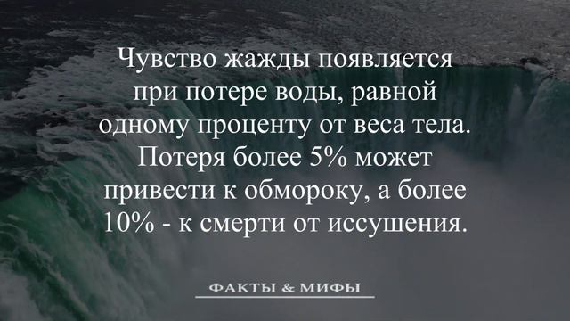 Ужасающие Факты О Человеке И Его Организме. А Ты Знаешь На Что Способен Твой Организм? смотреть онлайн