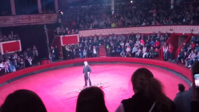 Одесский цирк сильные люди и слоны 6 часть. смотреть онлайн