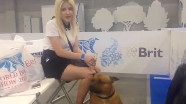 WDS 2016: второй день / Впечатления смотреть онлайн