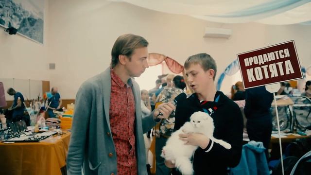 Выставка кошек ICU Владивосток 26.04.2015 год смотреть онлайн