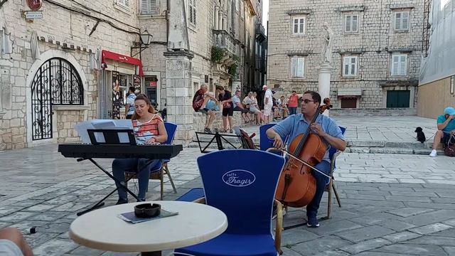 The Swan in the street (C. Saint-Saëns) смотреть онлайн