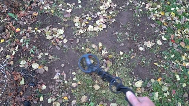 XP Gold Maxx Power Тест на полигоне! Хорошие результаты смотреть онлайн