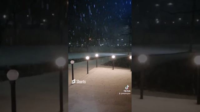 Night Snowfall
