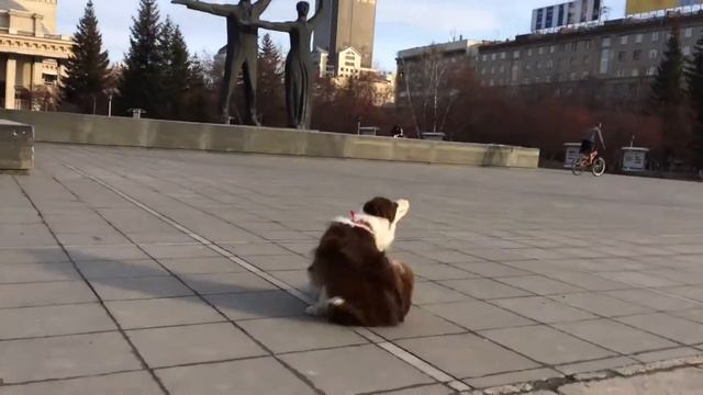 Novosibirsk 28.10.2017 смотреть онлайн