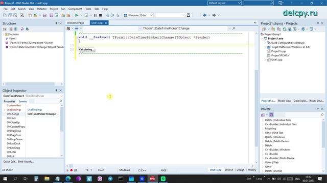 DateTimePicker (Time) C++. Embarcadero.