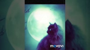 Лунная соната. Современная обработка.