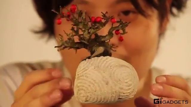Air Bonsai смотреть онлайн