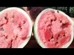 МУКБАНГ АРБУЗ/ОБЖОР арбузик