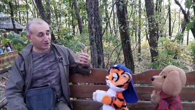 ТЕЛЕПЕРЕДАЧА СПОКОЙНОЙ НОЧИ МАЛЫШИ В ПРИМОРСКОМ САФАРИ ПАРКЕ смотреть онлайн