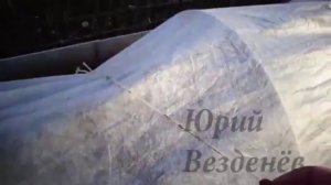 Как я делаю парник на грядках обделанных шифером