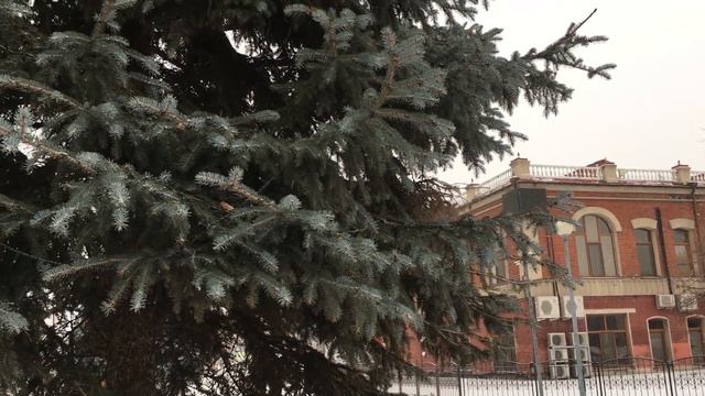 Влогмас, 7: Прогулка, пуансеттия и гжель смотреть онлайн