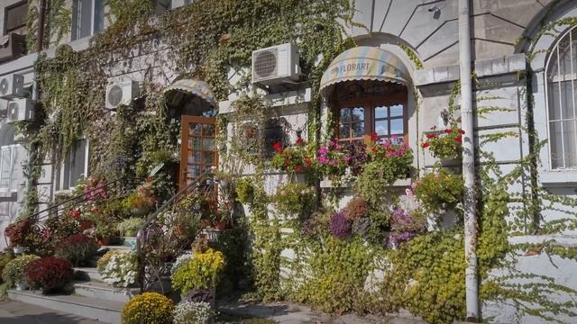 Кишинев 29/09/2021, "Букурия", улица Фрунзе №171, Оргеевская, "Франзелуца", Тракторный завод. смотреть онлайн