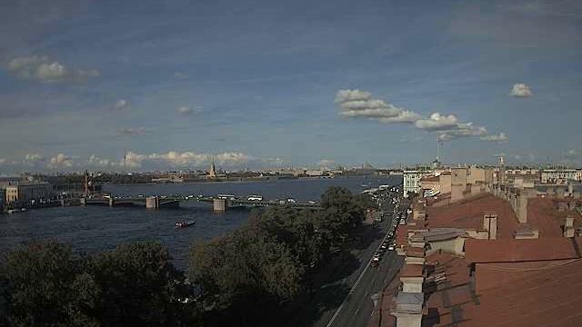 Обзорная веб-камера