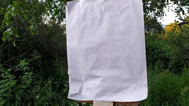 ТОЗ-63 отстрел Дедовского,,Осеннего,,патрона 1.7×26.4 в папковой гильзе на 35м 5ки смотреть онлайн