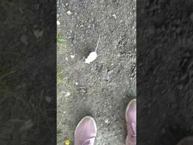 24 июля 2022 г. смотреть онлайн