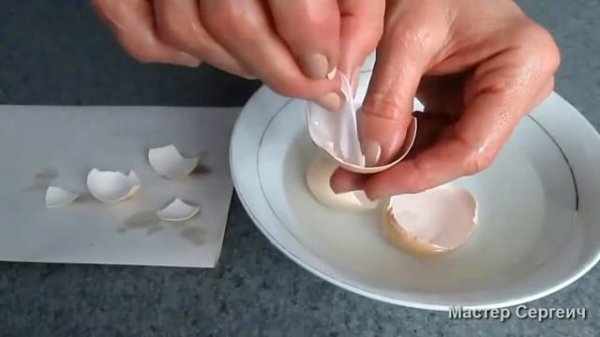 Яичная скорлупа для человека