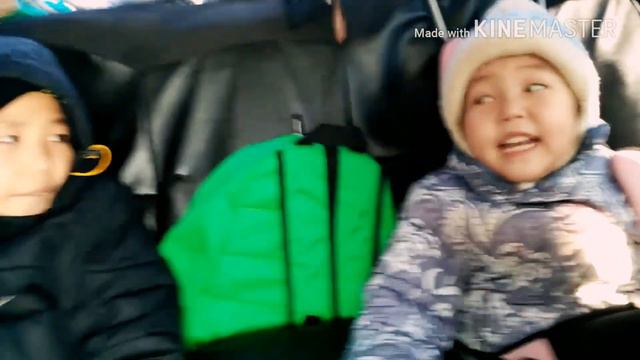 Белый медведь 2017, Якутск, зоопарк Орто Дойду, Бурый медведь, Вася хб смотреть онлайн