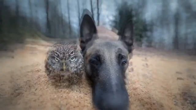 Тони Раут & Talibal - Кабриолет Bass Music Soul