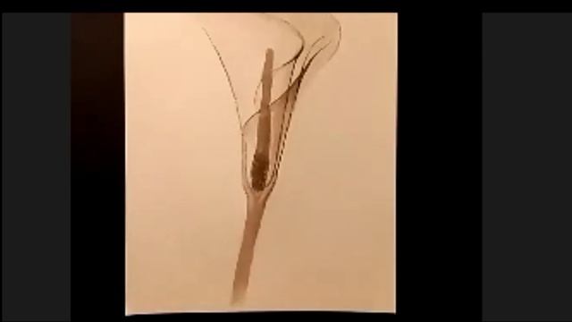 Калла #Гризайль #Урок #Живопись #Акварель смотреть онлайн