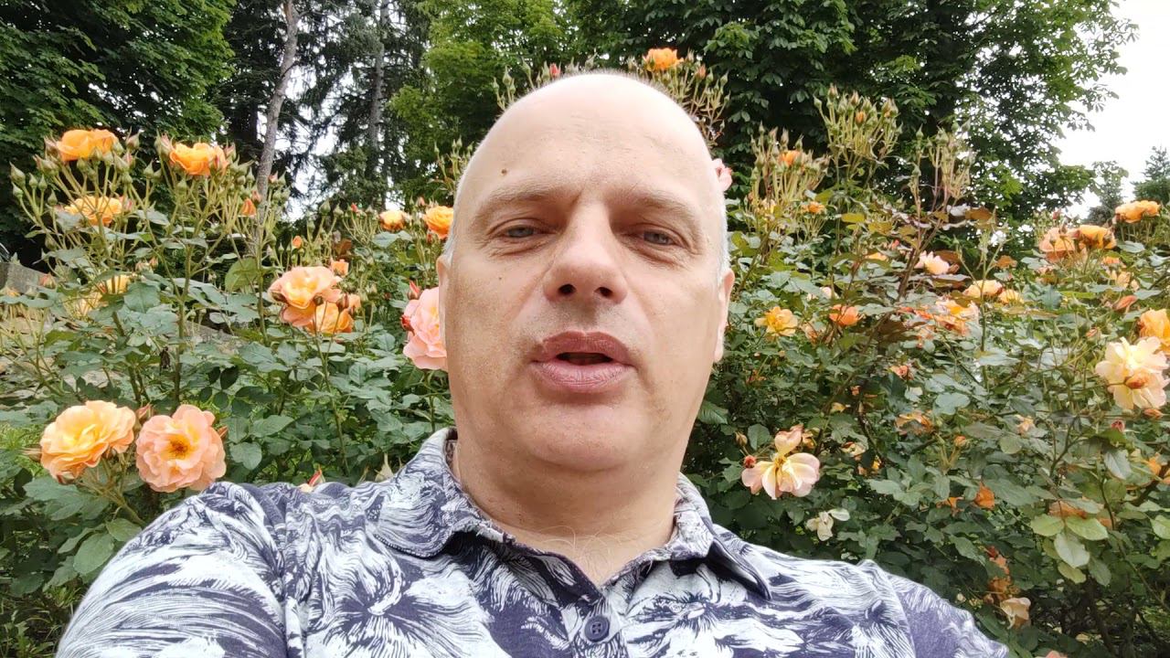 Об отдыхе в Кисловодске смотреть онлайн