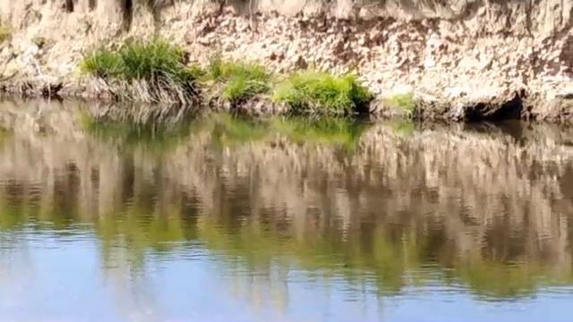 May 2019 ~ Ascension Oracle Messages ~ The Path of Least Resistance ~ Lifeforce Unlimited смотреть онлайн