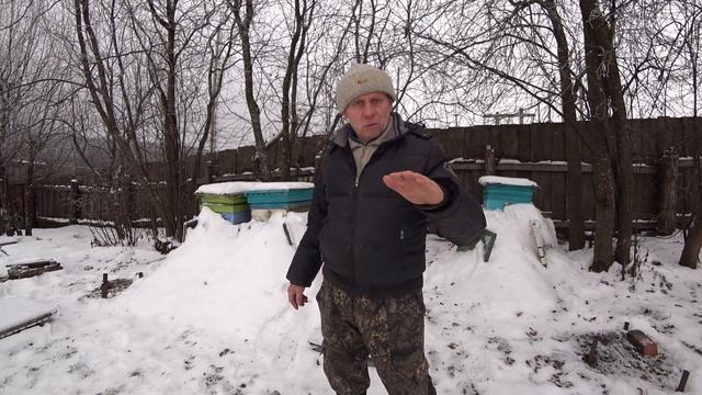 ЗИМОВКА ПЧЕЛОСЕМЕЙ НА ВОЛЕ, ОСМОТР РАСПОЛОЖЕНИЯ КЛУБА ПЧЁЛ, КОРМА, ВЕНТИЛЯЦИЯ, УСТРАНЕНИЕ ИЗМОРОЗИ смотреть онлайн