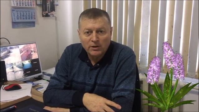 "Поэзия для любимых" смотреть онлайн