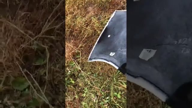 JS Веб-магия