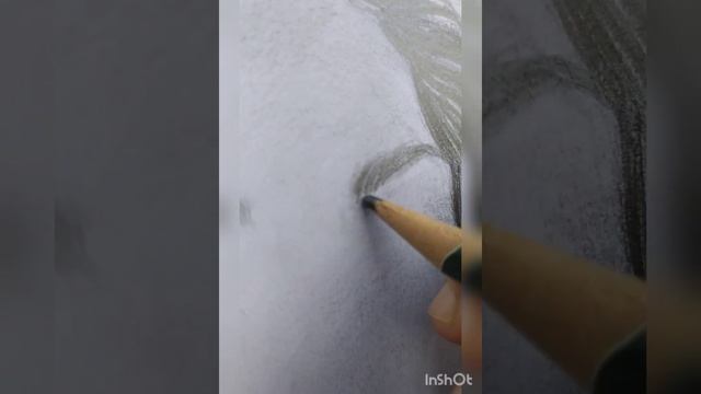 Pencil Sketch Potrait Of A Woman.. #pencildrawing #Woman #sketch